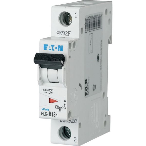 PL6-D13/1 Miniature circuit breaker (MCB), 13 A, 1p, characteristic: D image 1