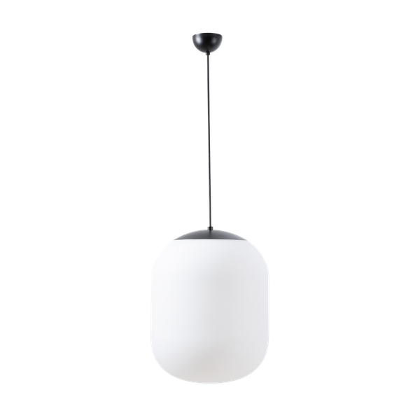 LED-5L06E600ZS11/296/L100 C 3K image 1