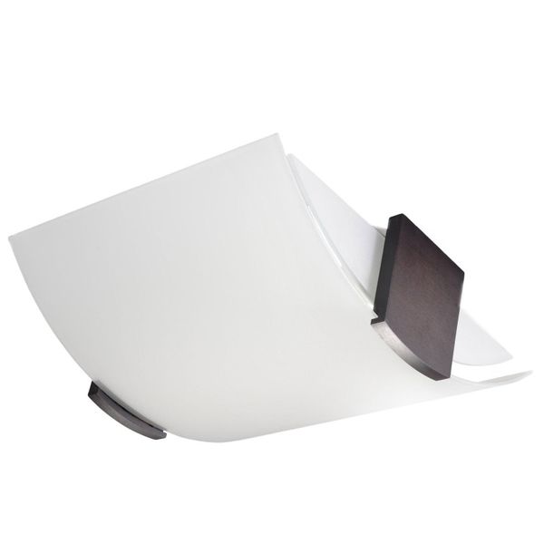 PLAFON EMILIO E27 2X60W IP20 image 1