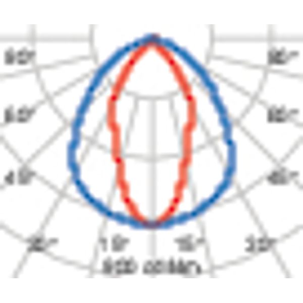 GUELL 2.5148 S/W 830 GR94 image 6