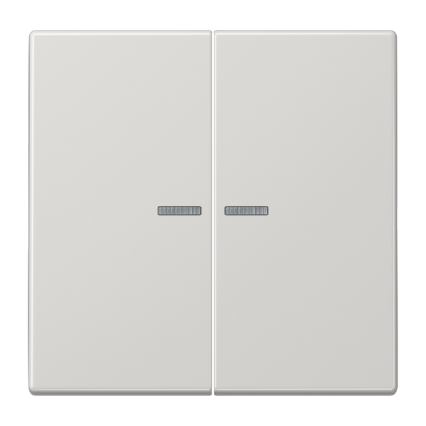JUNG HOME push-button 2-gang BTLS17102LG image 1