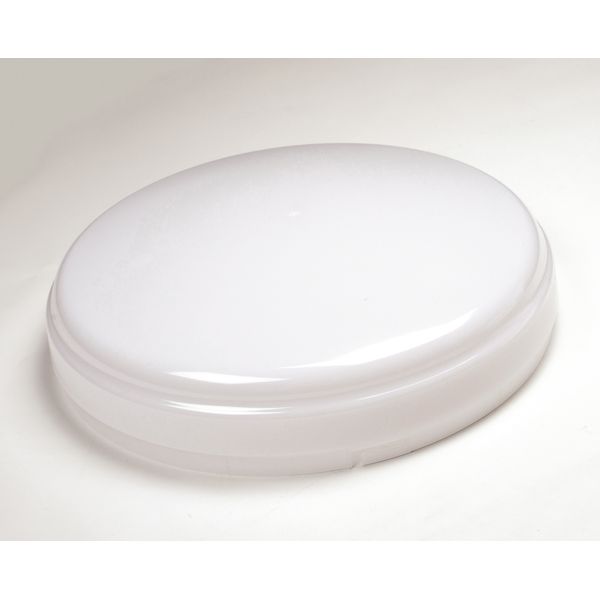 Diffuser Glass diffuser for AVH15 image 1