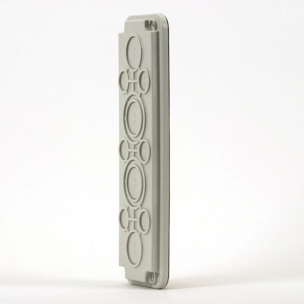 Cable entry cover 4 for 6xPg16+2xPg29+2xPg29/42 image 2