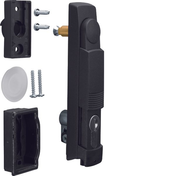 Swing lever,univers,w/ cylinder image 1