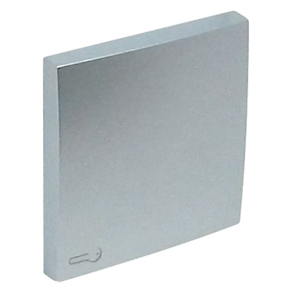 ROCKER F/SWITCHES W/LOCK SYMBOL ALUMINIUM image 2