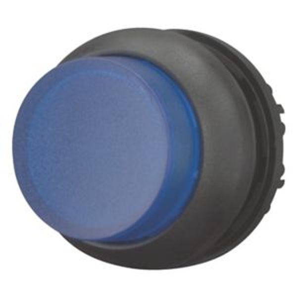 M22S-DRLH-B Illuminated pushbutton actuator, RMQ-Titan, Extended, maintained, Blue, Blank, Bezel: black image 8