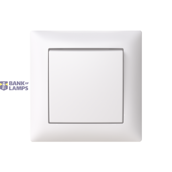 1066UJ-916 SWITCH image 1
