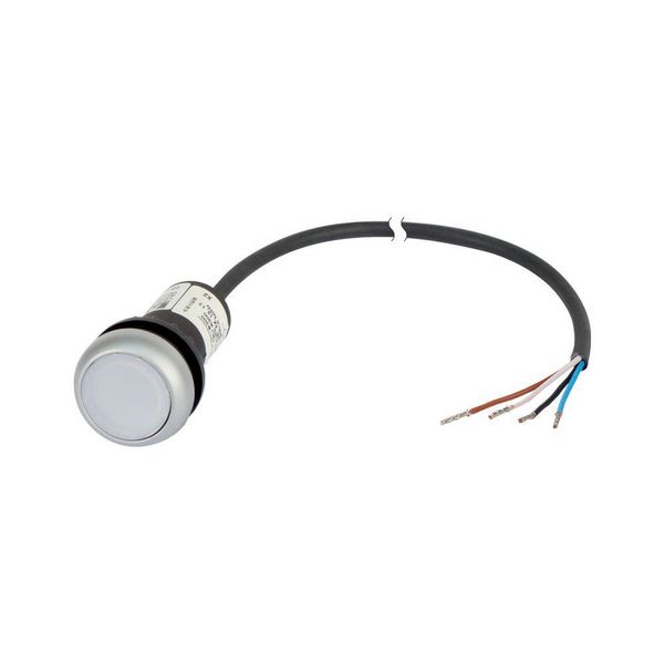 C22-DL-W-K10-24-P62 Illuminated pushbutton actuator, Flat, momentary, 1 N/O, Cable (black) with non-terminated end, 4 pole, 1 m, LED white, White, Blank, 24 V AC/DC, Beze image 4