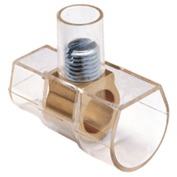 Fichero: capuchon-1.jpg image 1