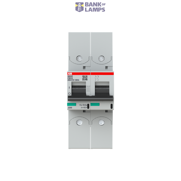 S802P-C80-R circuit breaker image 1
