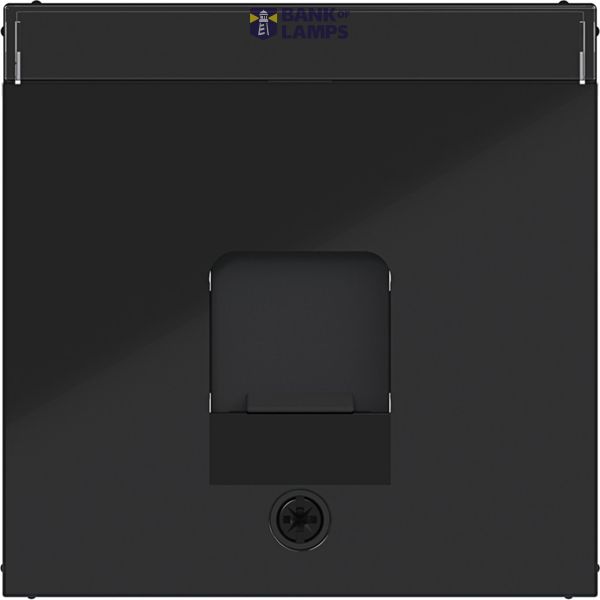 Central plate KeyStone 1-v, dust shield, text field, A.x/C.x black glazed. image 1
