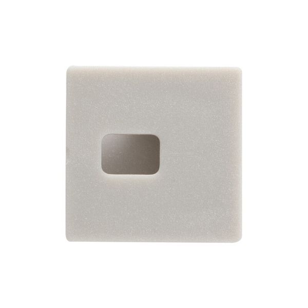 End cap for AU with hole, silver color, 1pc image 1