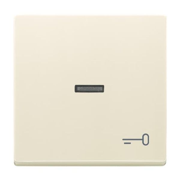 1789-82 CoverPlates (partly incl. Insert) future®, solo®; carat®; Busch-dynasty® ivory white image 3