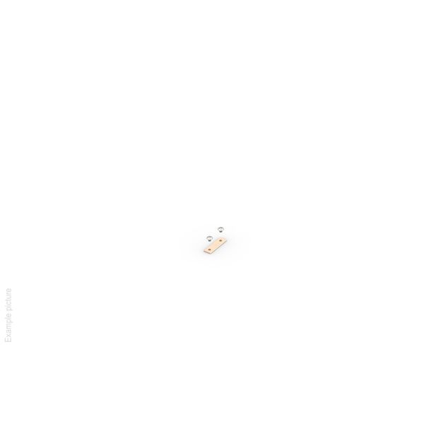 EARTH BAR FOR EQUIPOTENTIAL CONNECTIONS A3D62X1X015M image 1