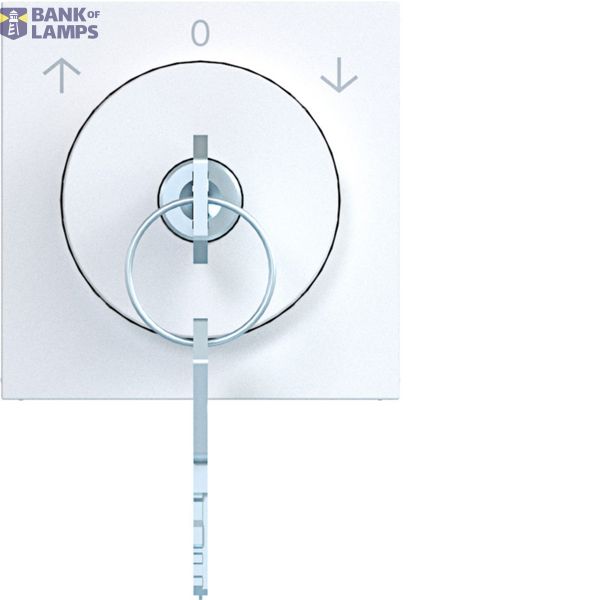 Centr.pl. key block, magnifying, related key A.x/C.x white matte image 1