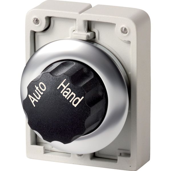 M30I-FWR-X91 Changeover switch, RMQ-Titan, with rotary head, maintained, 2 positions, inscribed, Front ring stainless steel, AUTO HAND image 3
