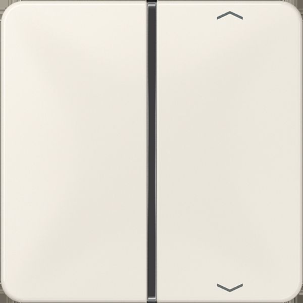 Cover 1-gang with symbols CD401TSAP image 5