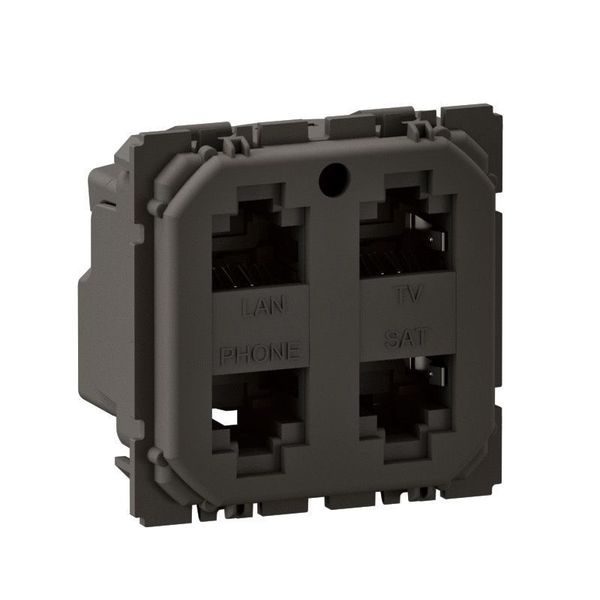 RJ45 MULTIMEDIA X4 STP CELIANE image 2