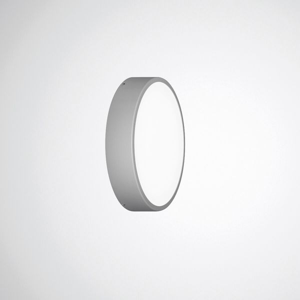 Mechanical accessories Olisq R Silver 8269000 image 1