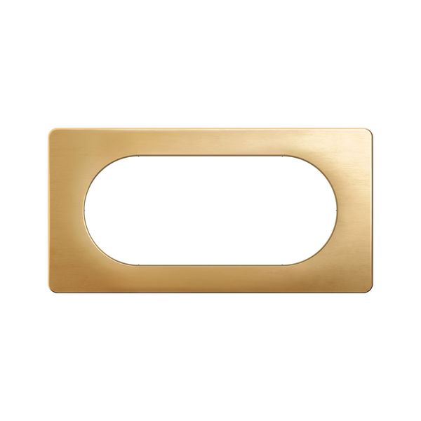 PLATE 2G LARGE SATIN BRASS image 4
