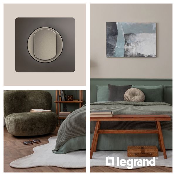 PLATE 3 GANG ASH GREY image 5