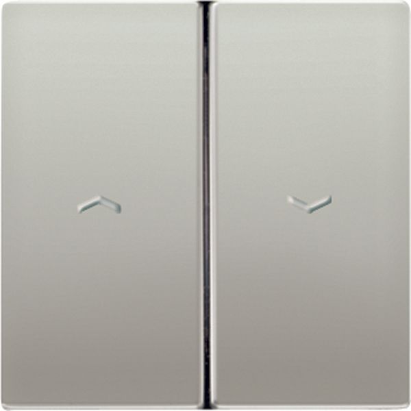 Centre plate ES2995PP image 2