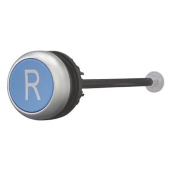 M22-DZ-B-X6 Release pushbutton, blue, R image 2