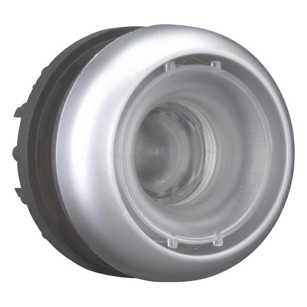 M22-D-X-GVP Pushbutton, RMQ-Titan, flush, momentary, Without button plate, Bezel: titanium image 14