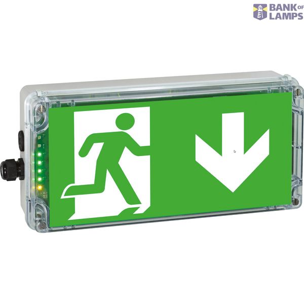 EX-protected emerg.luminaire EXIT N zone1/21 LED 3h 230V AC image 1