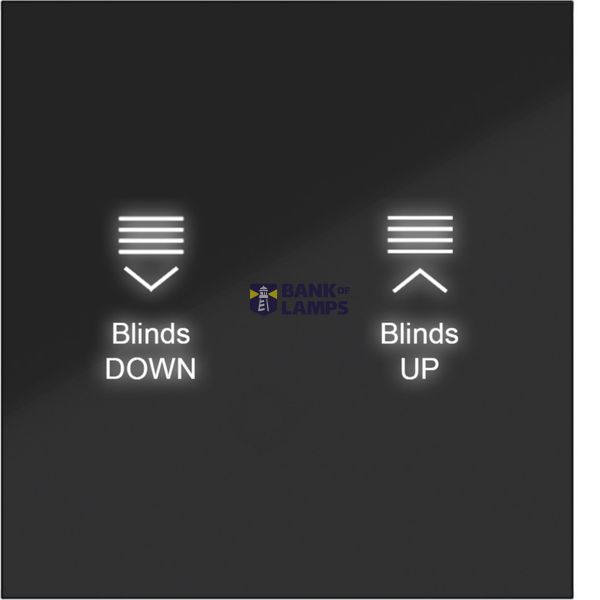 KNX pushbutton cover, single-position, with backlight, A.x/C.x, black glossy. image 1