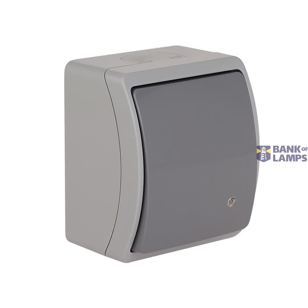 VW-1L Koala Single Pole Switch with illumination surface mounted IP44 gray/graphite VW 151-58 image 1