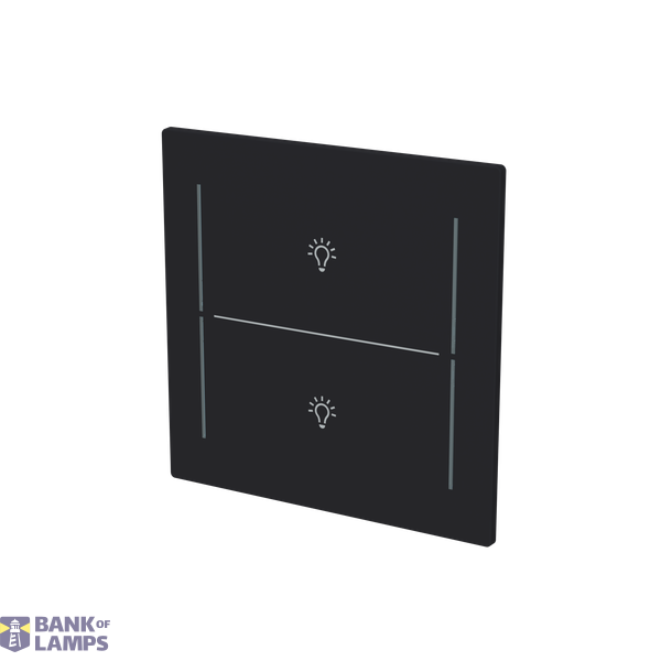 LFBT/A.2.70.1-45M Cover plate with legend with Symbol "light" black matt - Trevion® image 2