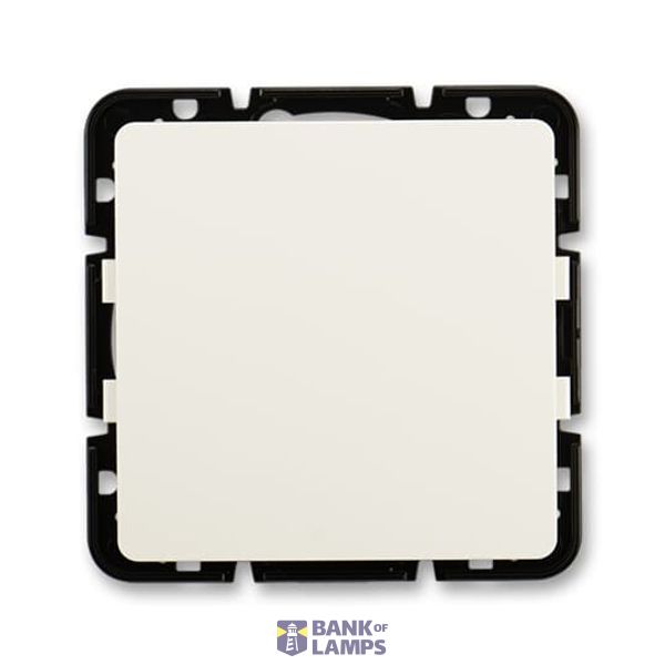 Blank plate image 1