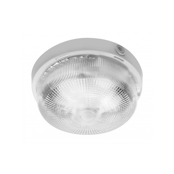 Luminaire RINGO for E27 lamps, max. 100 W, AC220-240V, IP44, glass shade image 1