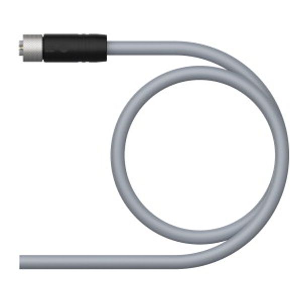 Supply Cable - M12 Power Connection Cable   RKS56PLB-8/TXG image 1