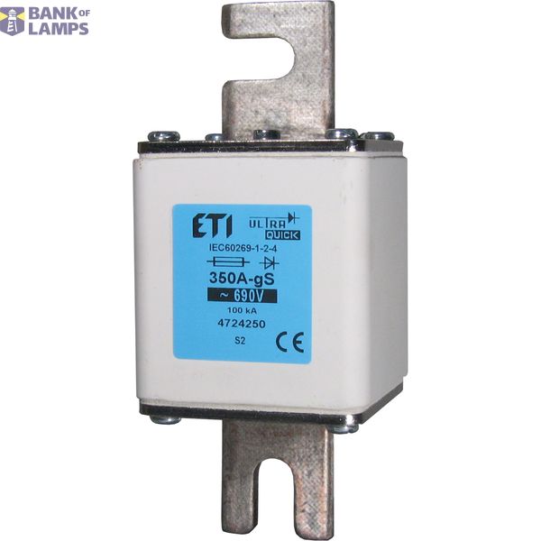 S1M gS /110/315A/690V image 2
