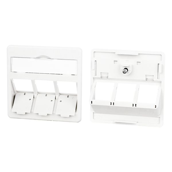 Central plate 50 x 50 mm 3 port, pure white, modul image 1