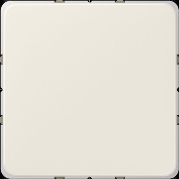 Blank centre plate (snap-on fixing) 594-0 image 5