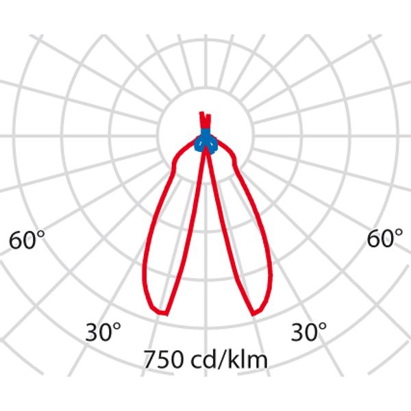 AMON MINI 36 S/W 4K ANTR. DIM1-10V image 4