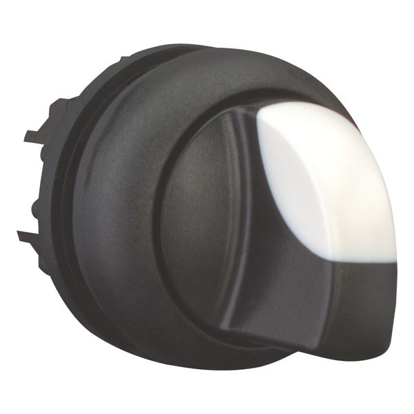 M22S-WRK Changeover switch, RMQ-Titan, With thumb-grip, maintained, 2 positions, Bezel: black image 6