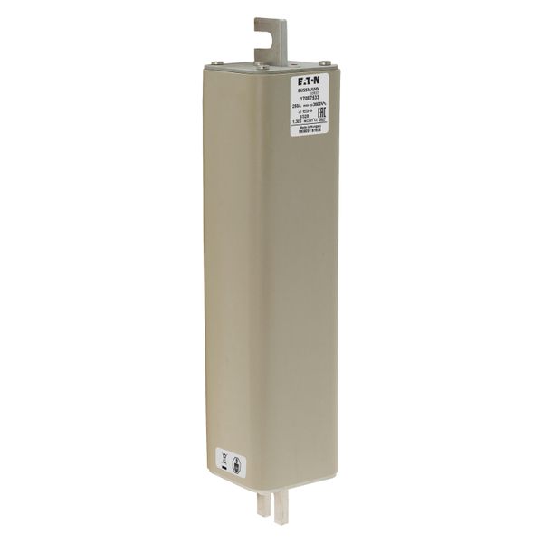 Fuse-link, high speed, 250 A, AC 3.6 kV, special DIN 3, aR, DIN, visual indicator image 9