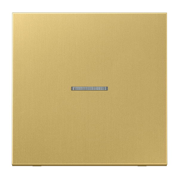 JUNG HOME push-button 1-gang BTME17101C image 1