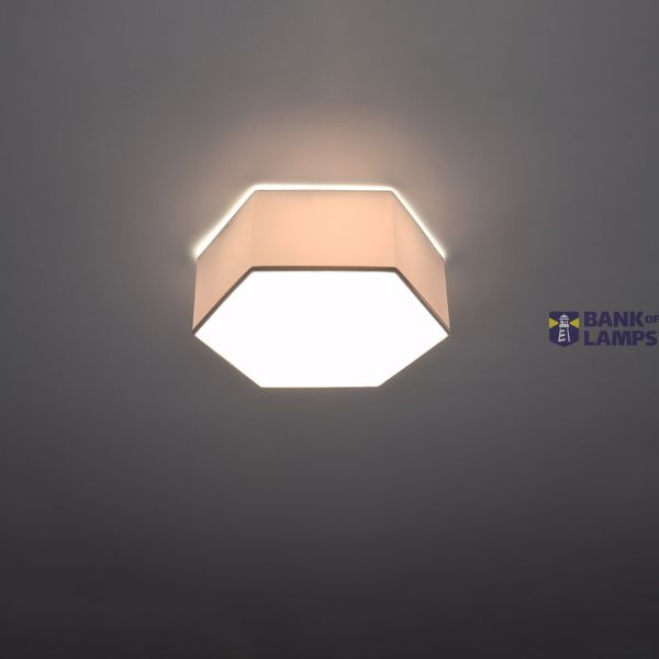 CEILING LAMP SUNDE 11 WHITE E27 2X60W IP20 image 10
