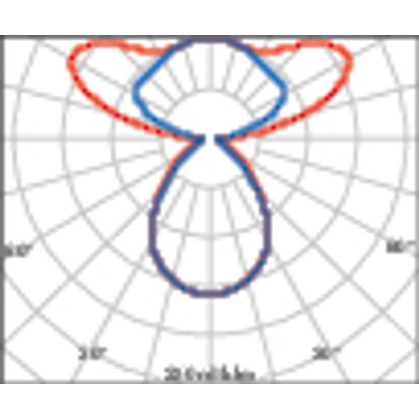 SL713+PL RXL 61 S/C 830 GREY BT MP image 7