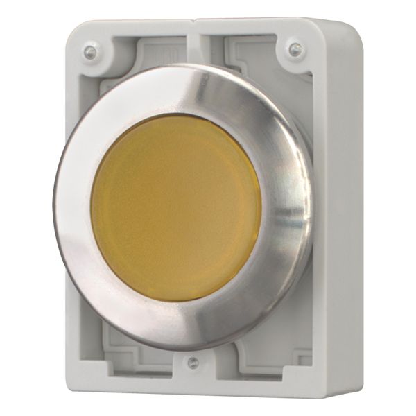 M30I-FDRL-Y Illuminated pushbutton actuator, RMQ-Titan, flat, maintained, yellow, blank, Front ring stainless steel image 9