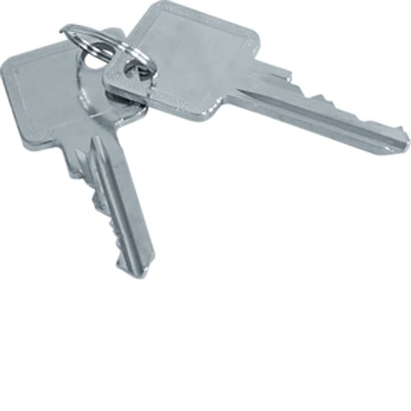 Set of 2 keys, Accessory, for ZAY50994 image 1