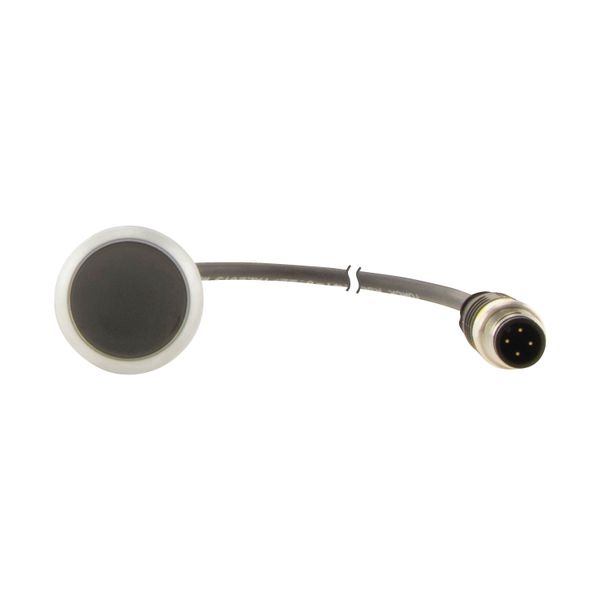 C22-D-S-K01-P5 Pushbutton, Flat, momentary, 1 NC, Cable (black) with M12A plug, 4 pole, 1 m, black, Blank, Bezel: titanium image 13