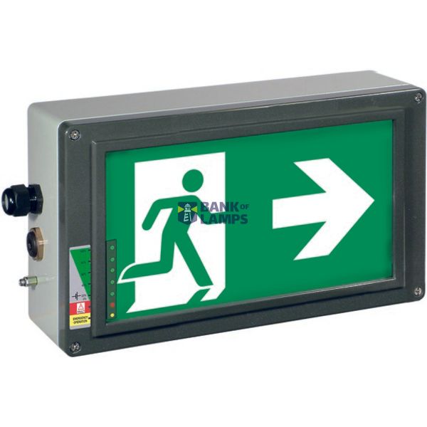 Ex-escape sign luminaires EX-LITE N with integrated emergency light function for zone 1/21, Pictogram: DIN ISO 7010, Arrow: 3 Clock image 3