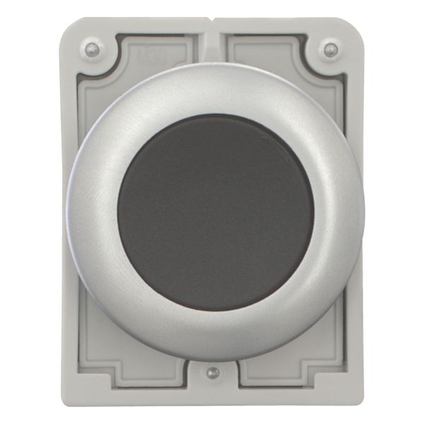 M30C-FD-S Pushbutton, RMQ-Titan, Flat, momentary, black, Blank, Metal bezel image 4