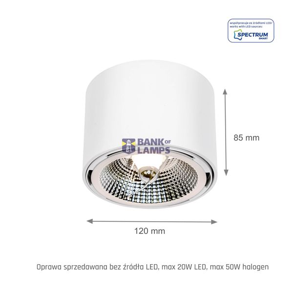 CHLOE AR111 GU10 P20 round white image 17